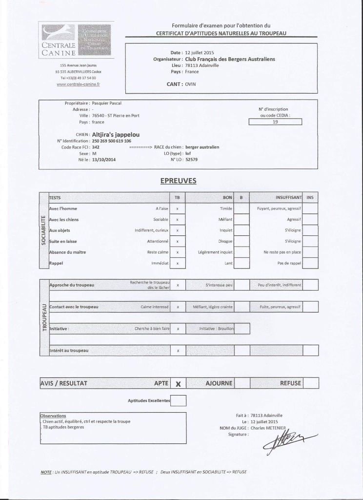 Altjira's Jappeloup for marjohrita's odl